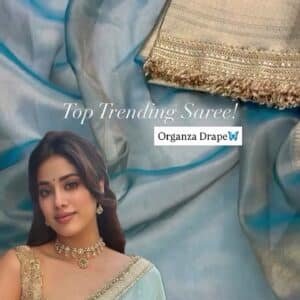 Embellished Sequinned Tissue Saree – Ethereal Shine with Timeless Festive Elegance